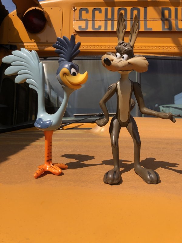 画像14: ntage R.Dakin Looney Tunes Road Runner and WILE E.COYOTE Figures (A360)