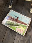 画像4: Vintage 1908 Sears Roebuck Catalog N0. 117 (A666) (4)