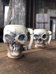 画像12: Vintage Skull Ceramic Salt/Pepper Mugs Japan (A676) (12)