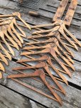 画像7: Vintage USA Advertising Wood Hanger LITTLE FALLS (A684) (7)