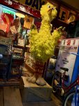 画像5: Vintage Advertising Sesame Street Big Bird Store Display Life size Statue RARE! Hard to Find! (A768) (5)