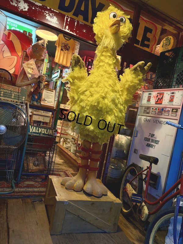 画像5: Vintage Advertising Sesame Street Big Bird Store Display Life size Statue RARE! Hard to Find! (A768)