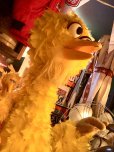 画像3: Vintage Advertising Sesame Street Big Bird Store Display Life size Statue RARE! Hard to Find! (A768) (3)