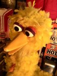 画像2: Vintage Advertising Sesame Street Big Bird Store Display Life size Statue RARE! Hard to Find! (A768) (2)