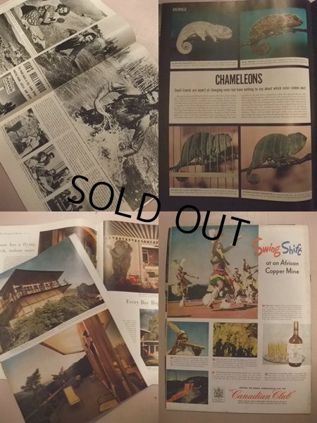 画像2: LIFE Magazine/OCT 10,1949(AC-179)  (2)