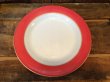 画像1: Old Pyrex Pink Flamingo Band Dinner Plate (1)