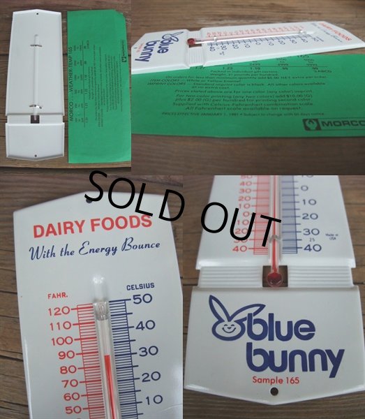画像2: Vintage Blue Bunny Thermometer (AC809)  (2)