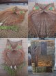 画像2: Vintage Owl Hemp Wall Display(NR-305) (2)