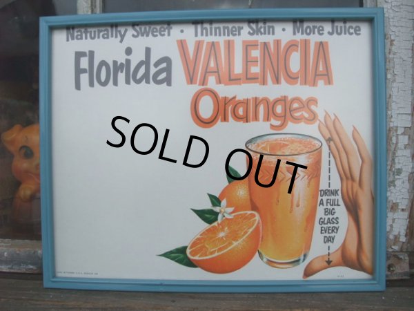 画像1: 50s Vintage FRORIDA VALENCIA ORANGE Advertising Sign w/Frame (NR-309) (1)