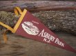 画像1: Vintage Souvenir Pennant / ASBURY PARK (NK-515)  (1)