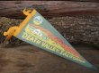 画像1: Vintage Souvenir Pennant / DEATH VALLEY (NK-510)  (1)