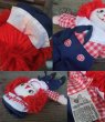 画像3: Raggedy Anne&Andy / Rug Doll 22cm (NK-623) (3)