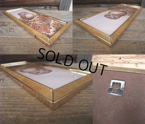 画像3: Vintage OWL Art W/Frame Wall Decor (NK752) (3)