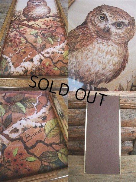 画像2: Vintage OWL Art W/Frame Wall Decor (NK752) (2)
