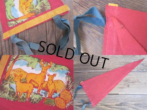 画像2: Vintage Souvenir Pennant / Mt,AGASSIZ (PJ497)  (2)