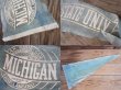 画像2: Vintage College Pennant / MS UNIV (PJ502)  (2)