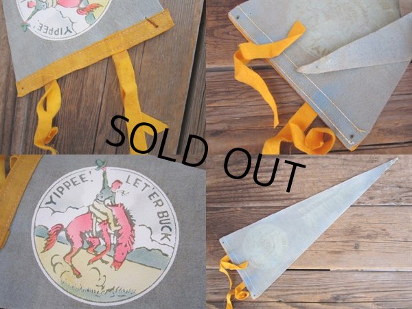 画像2: Vintage Souvenir Pennant / NDB (PJ495)  (2)