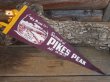 画像1: Vintage Souvenir Pennant / Summit of PP (PJ496)  (1)