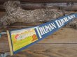 画像1: Vintage Souvenir Pennant / TL (AC276) (1)