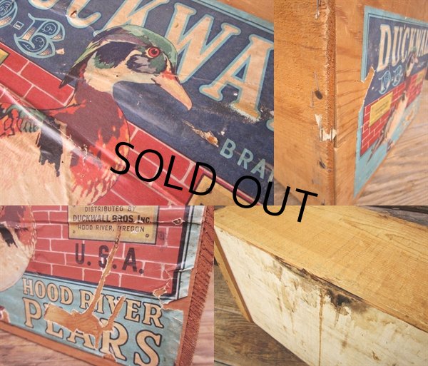 画像2: Vintage Wood DUCKWALL Fruit Crate Box (PJ591)  (2)
