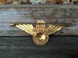 画像2: Vintage TWA Airline Junior Pilot Wings Badge (DJ24) (2)