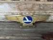 画像1: Vintage EASTERN Airline Pilot Wings Badge (DJ22) (1)