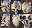 画像2: VINTAGE DISNEYLAND RANDOTTI SNAKE SKULL STATUE (DJ31) (2)