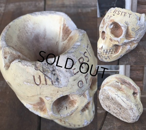 画像3: Vinatge Skull Ashtray (DJ103)  (3)