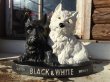 画像1: Vintage Black & White Scotch Whisky Advertising Statue (DJ120)  (1)