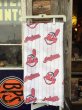 画像1: Vintage Flat Sheet / MLB Indians (DJ181) (1)