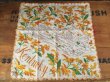 画像1: 50s Vintage Souvenir Handkerchief State of Kentucky (DJ818) (1)