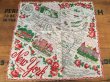 画像1: 50s Vintage Souvenir Handkerchief State of New York (DJ823) (1)