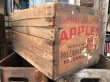 画像1: Vintage Wood Box Apples (MA209)  (1)