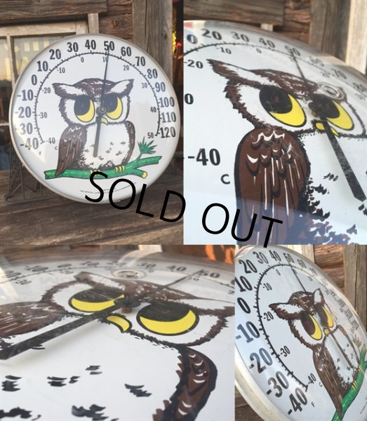 画像2: 70s Vintage Owl Thermometer (MA472) (2)