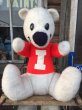 画像1: 70s Vintage ICEE BEAR Plush Doll (MA607) (1)