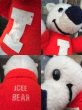 画像3: 70s Vintage ICEE BEAR Plush Doll (MA607) (3)