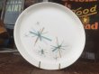 画像1: 60s Vintage North Star Salem Plate (AL026) (1)