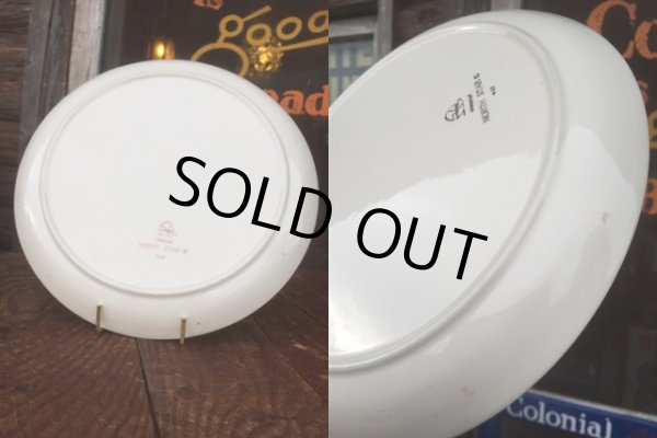 画像3: 60s Vintage North Star Salem Plate (AL027) (3)