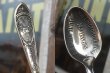 画像2: Vintage BPOE Elks Lodge Souvenir Spoon (AL121) (2)