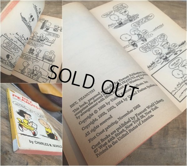 画像3: Vintage Snoopy Paperback Comic (AL335)  (3)