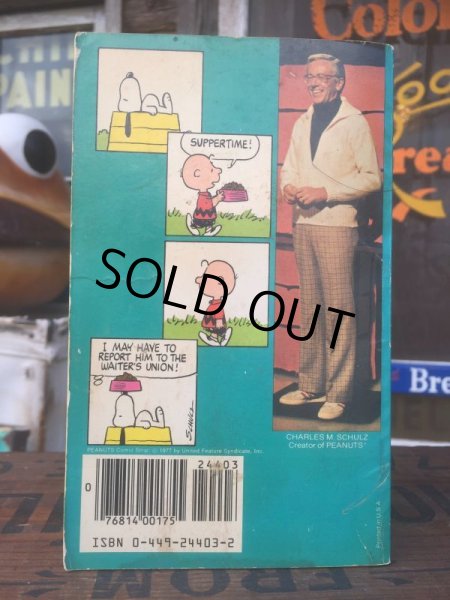画像2: Vintage Snoopy Paperback Comic (AL326)  (2)