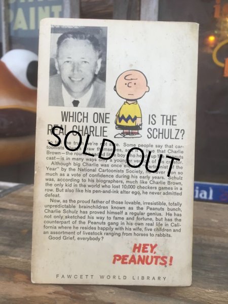 画像2: Vintage Snoopy Paperback Comic (AL335)  (2)