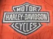 画像4: Vintage Harley Davidson Moter Cycles Flag Banner (AL412)  (4)