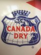 画像4: Vintage Canada Dry Sport Cola Embossed Advertising Sign (AL454) (4)