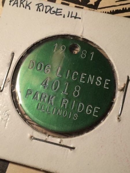 画像1: 1981 Vintage Dog Tag #4018 (AL2587) (1)