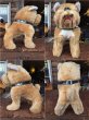 画像3: Vintage Mack Truck Bulldog Plush Doll (AL580) (3)