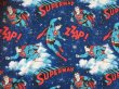 画像2: 70s Vintage Dc Comics Superman Curtain (AL912) (2)