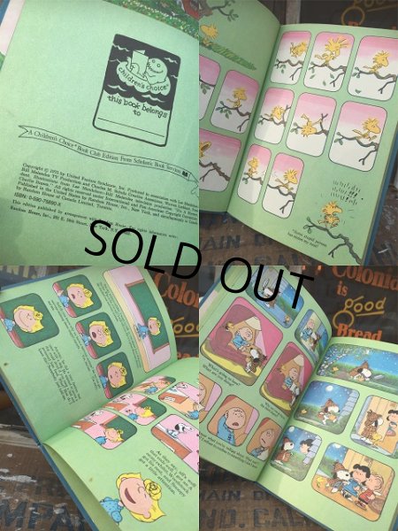 画像3: Vintage Book Snoopy It's A Mystery Charlie Brown! (AL5375)  (3)