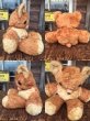 画像2: Vintage Cubbi Gund Rubber Nose Teddy Bear (AL3054) (2)