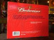 画像5: Budweiser Beer Bottle & Frog String Light (J119) (5)